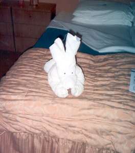 Our cabin steward's towel animal....a rabbit!