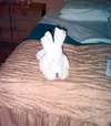 Our cabin steward's towel animal....a rabbit!