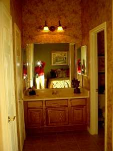 This is a picture of the guest suite bathroom. To the right is the bathroom part (toilet and shower). What you can see is the counter area.