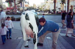 May 2001
Cows in Vegas?  Photo op for Dan...