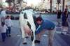 May 2001
Cows in Vegas?  Photo op for Dan...