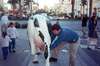 May 2001
Cows in Vegas?  Photo op for Dan...