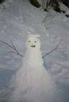 ...snowman.
