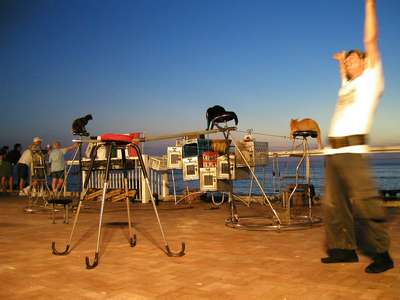 The cat guy at Mallory Square Friday night.